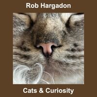 Cats & Curiosity